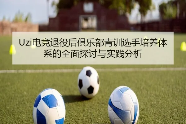 Uzi电竞退役后俱乐部青训选手培养体系的全面探讨与实践分析